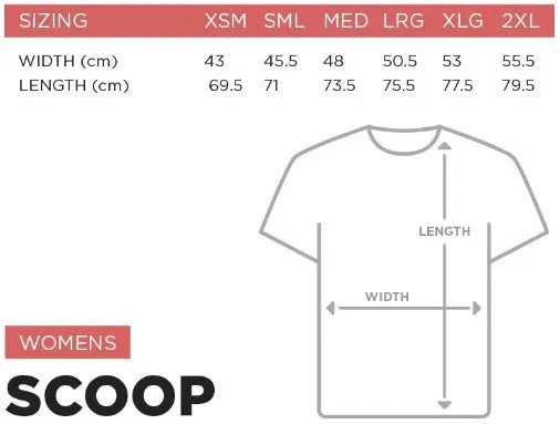 Silver Scrubbers Netball Ladies T-Shirt (Large)