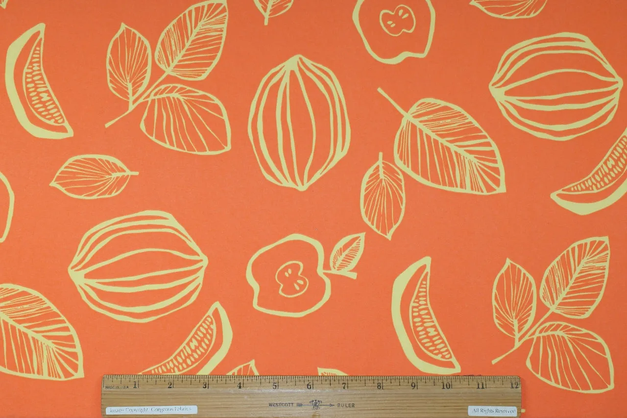 Tangerine Dreams Cotton Shirt/Dress-Weight